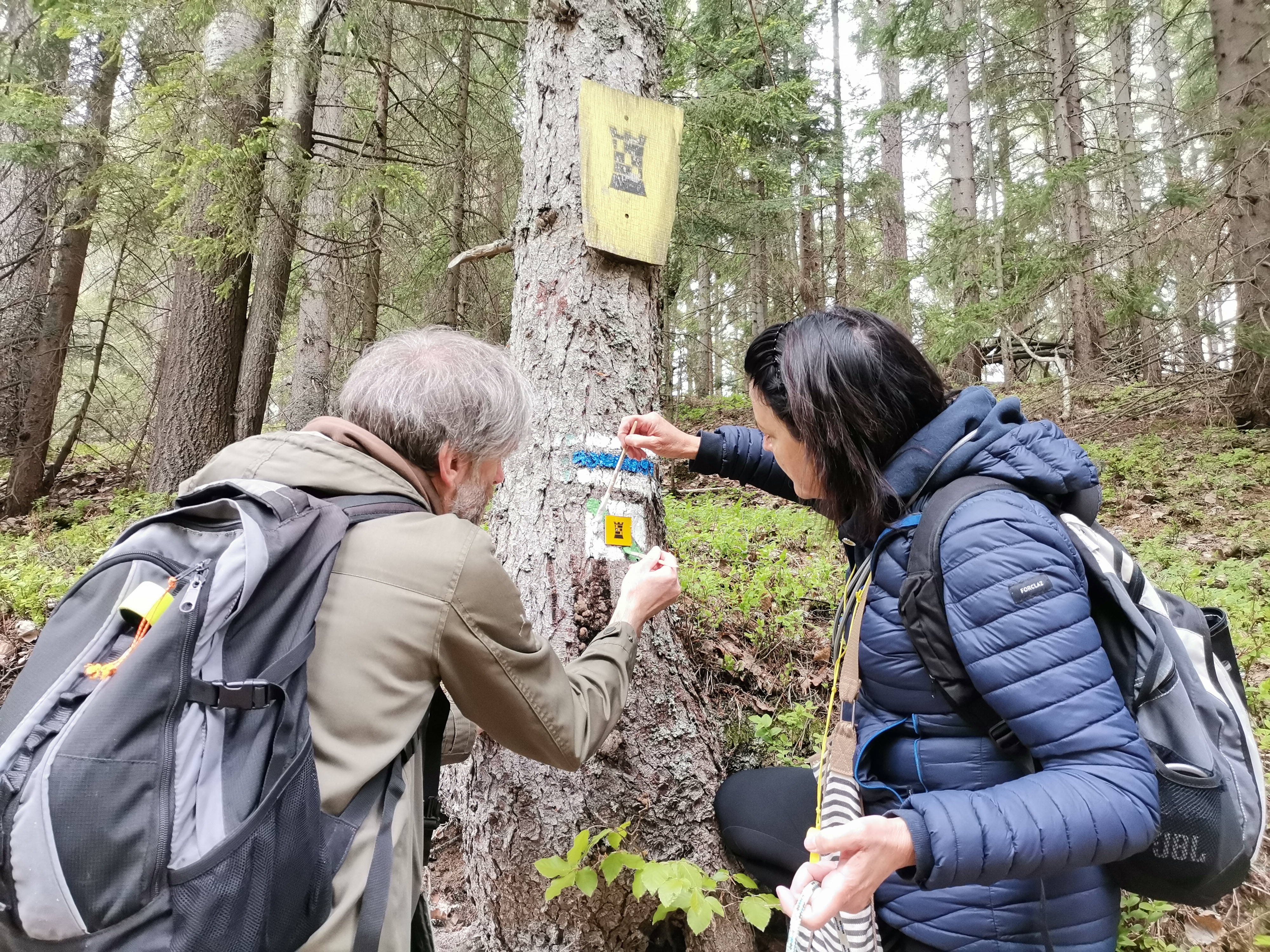Painting trail markers on the Barbora route