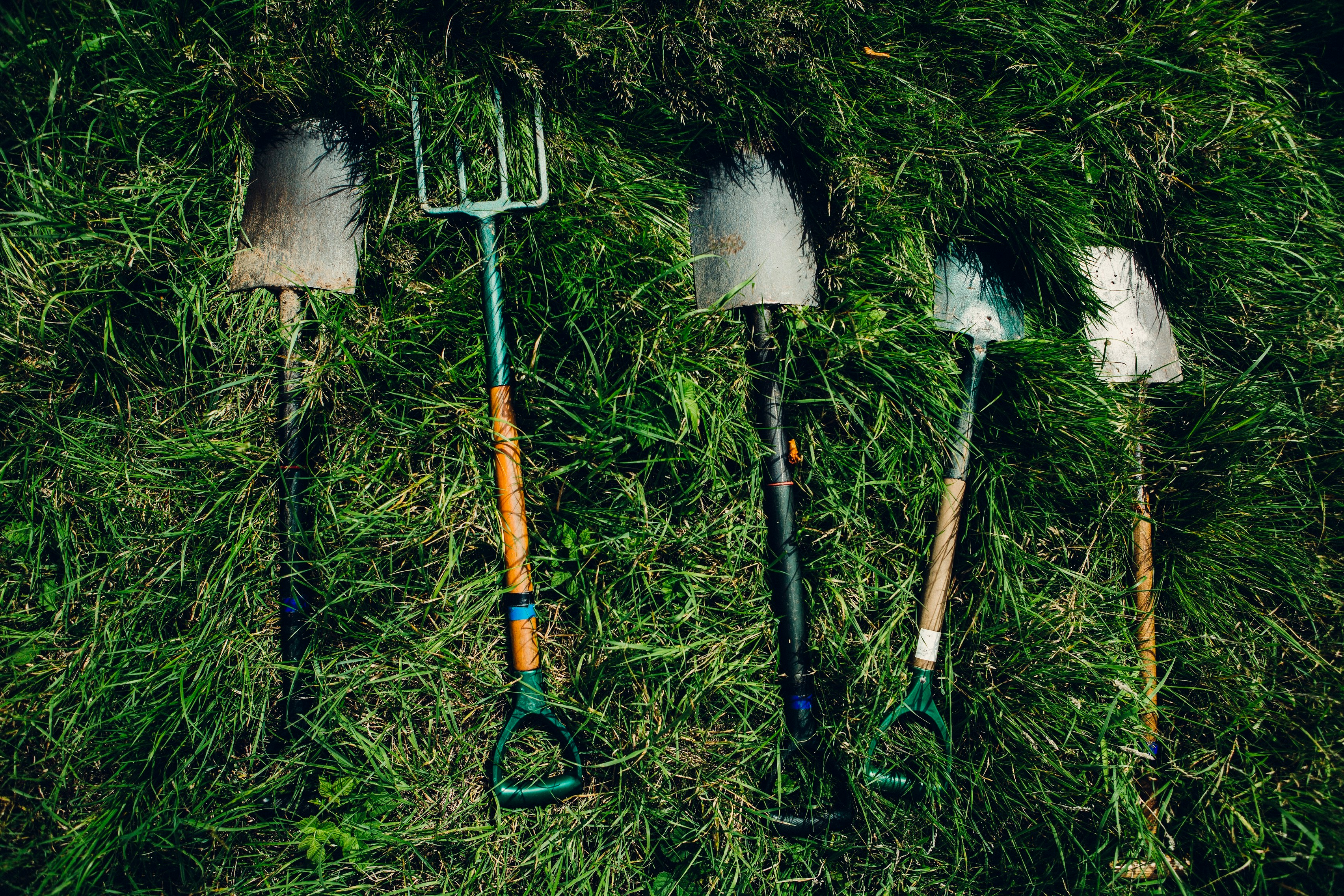 Heritage volunteering