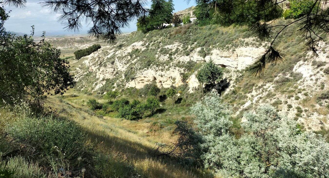 Traditional irrigation systems