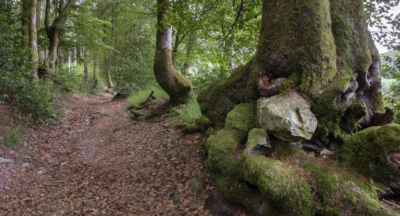 Morvan Regional Natural Park Trail