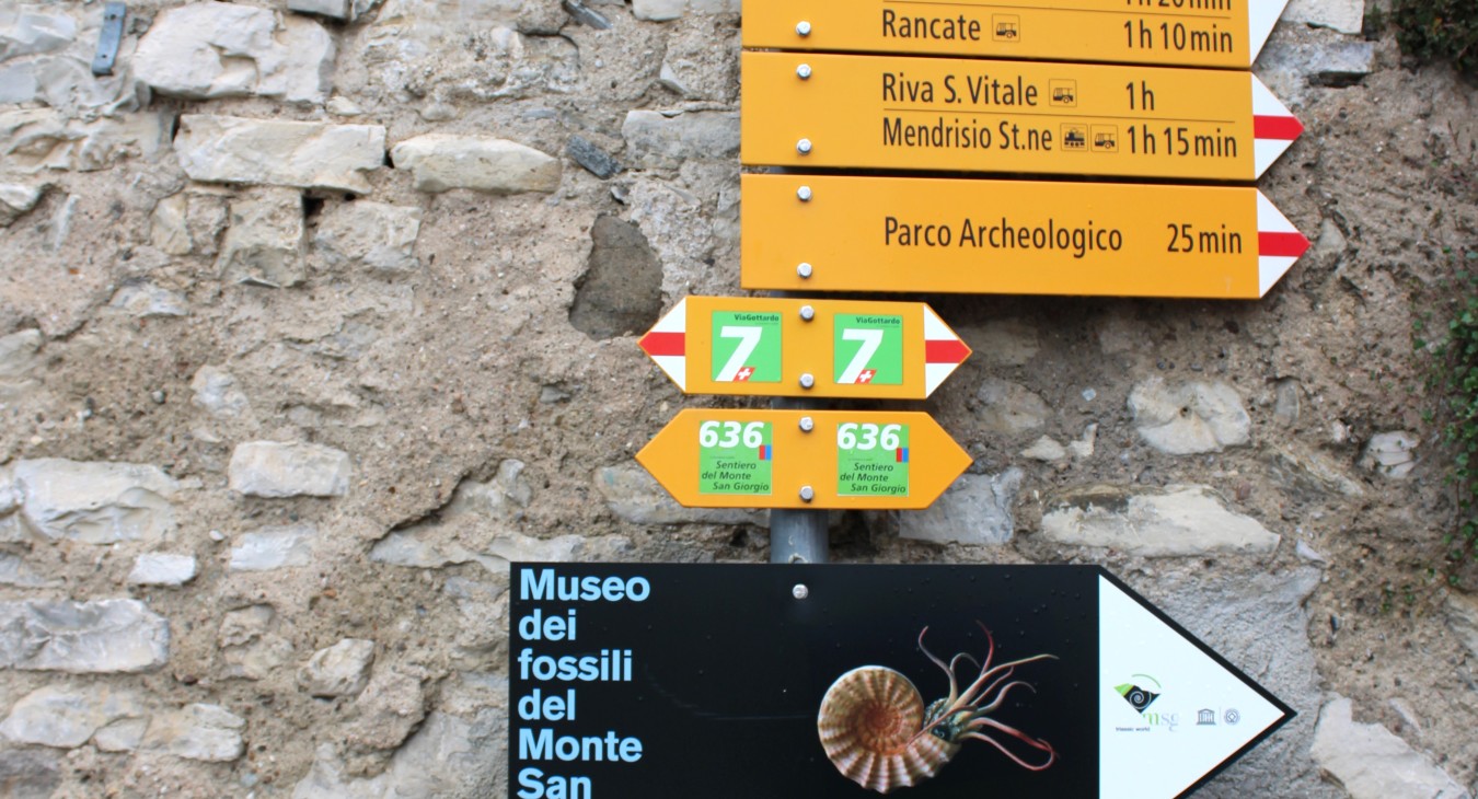 Monte San Giorgio (Switzerland / Italy)