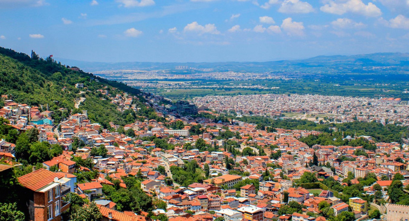 Bursa