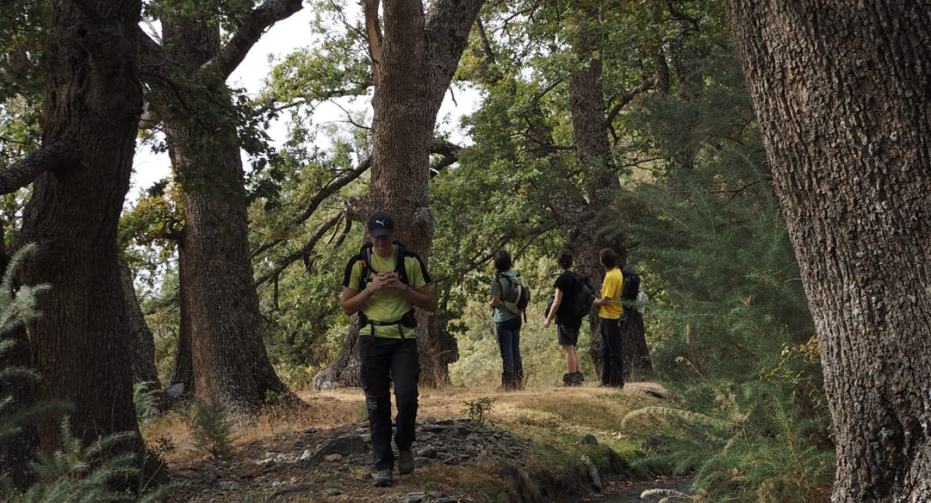 Interpretative route through the irrigation channels of Cáñar 